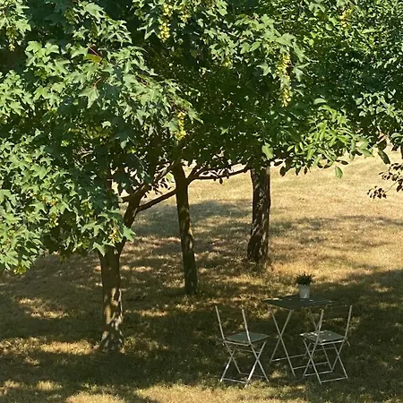 Lägenhet Tagas Veszprem Mellett